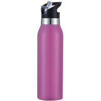 Pink Stainless Steel Double Wall Vacuum Insulated Thermo Drink Bottle with Straw