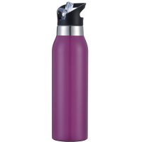Purple Stainless Steel Double Wall Vacuum Insulated Thermo Drink Bottle with Straw